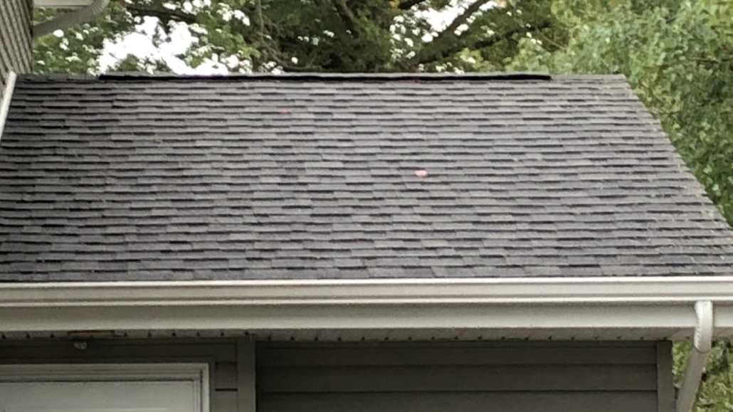 Roof after cleaning.