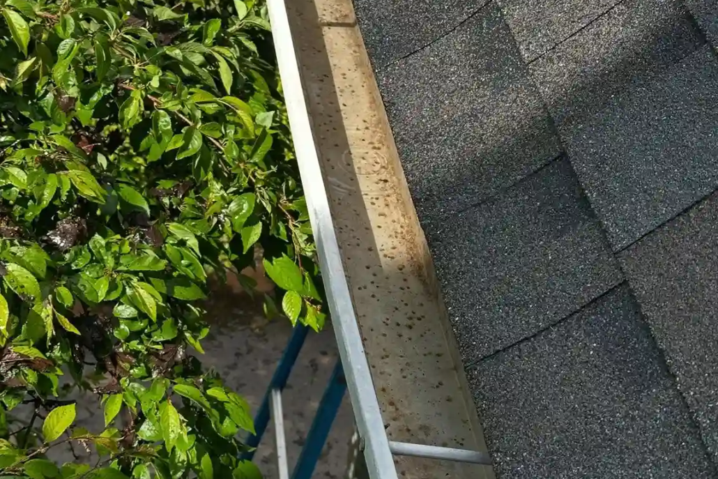 Clean Gutters in Howland.
