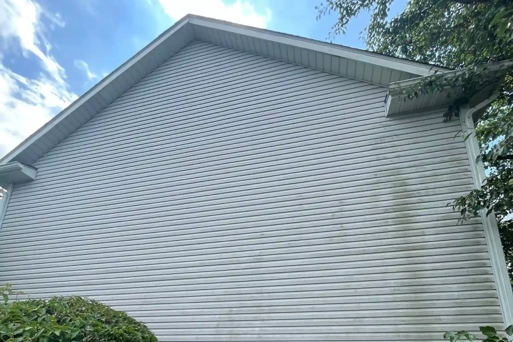 Mossy Siding on a White, Two Story Home in Canfield.