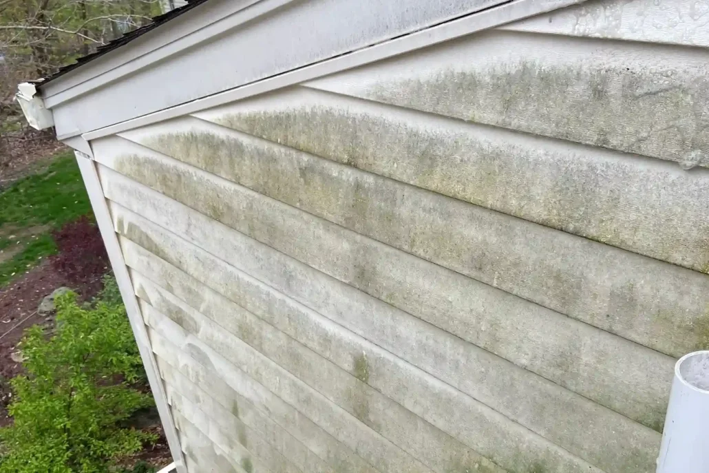 Mossy Siding on a Home in Austintown, OH.