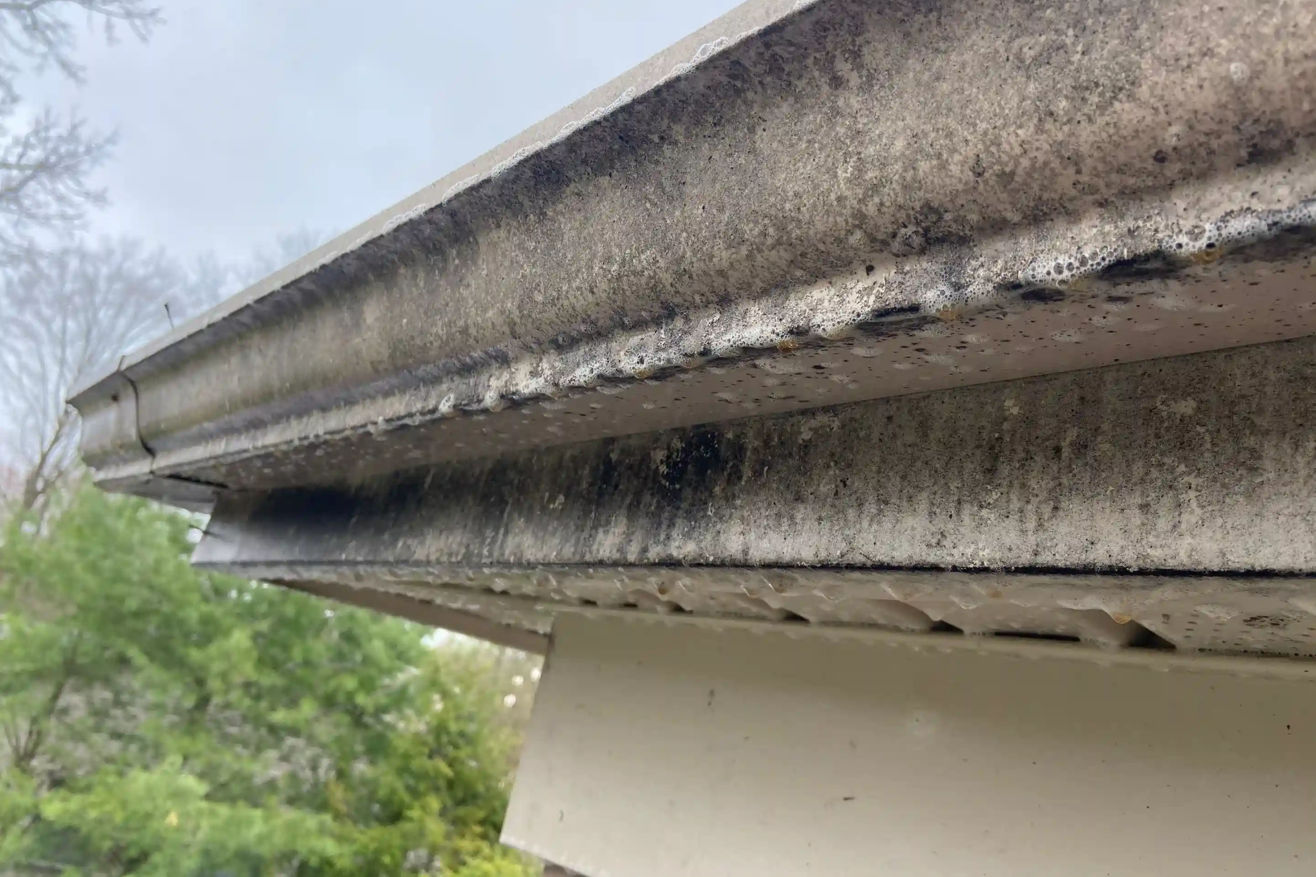 Dirty Overgrown Gutters on a Howland Home.