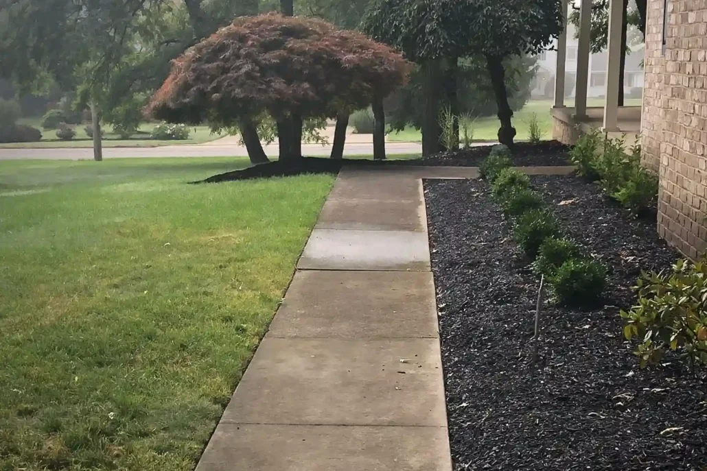 A Dirty Sidewalk Caked in Dirt and Organic Growth Before Being Pressure Washed in Howland.