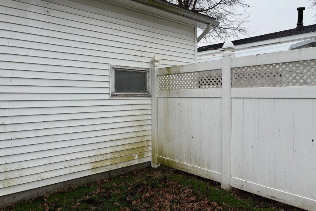 Dirty, Organic Growth on Siding on a Poland Home.