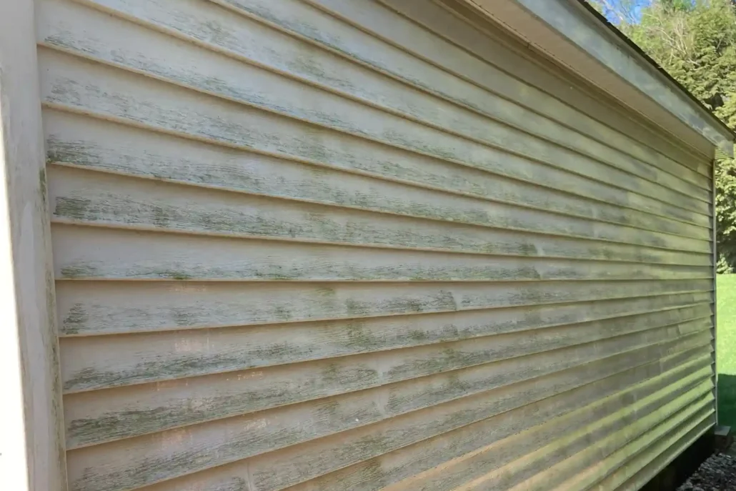 Organic Buildup on a Garage in Canfield.