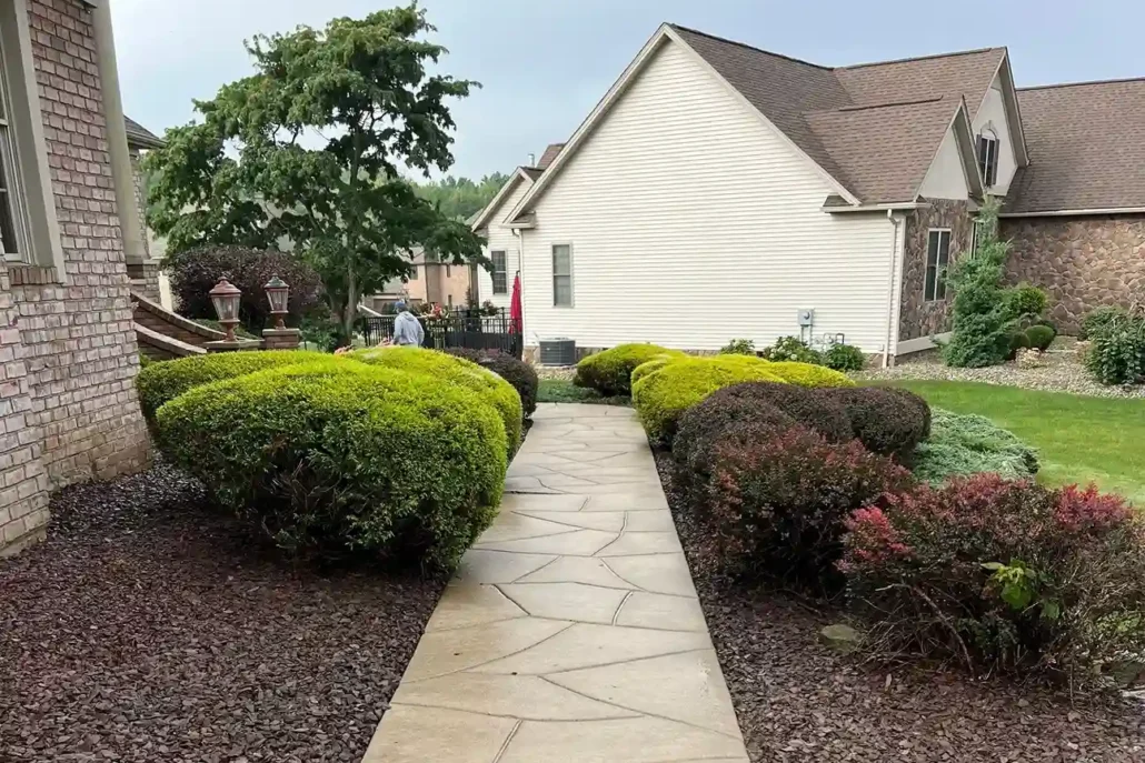 A Clean Front Walkway Shines in the Sun After Being Pressure Washed in Howland.